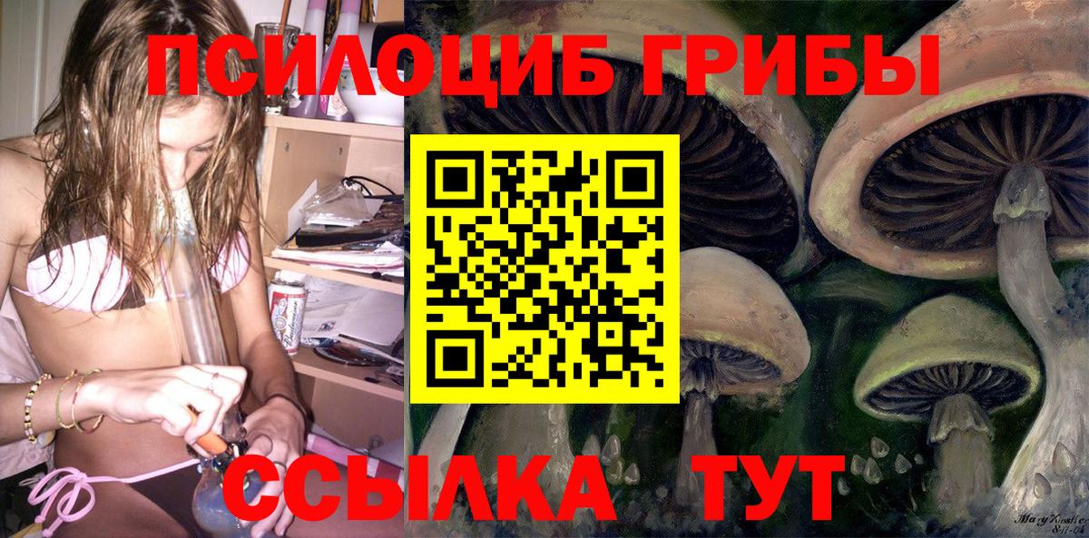 Тюмень  Псилоцибиновые грибы прущие грибы  Вход с VPN 