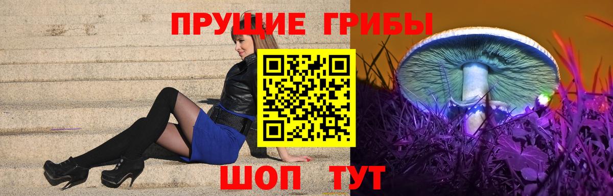 Псилоцибиновые грибы Cubensis Тюмень